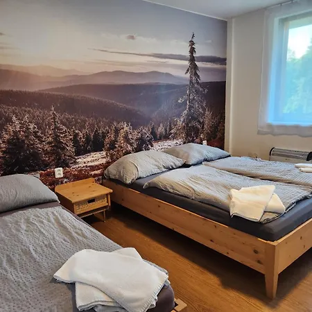 Depandance Hotelu Kamzik Mala Moravka Room photo
